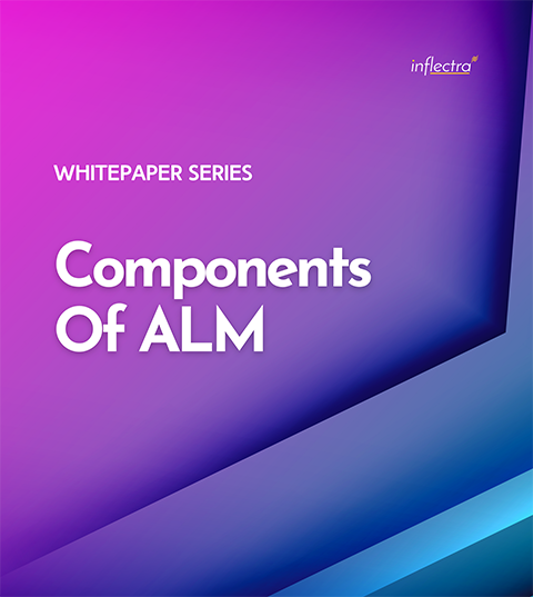 Each of the components of ALM can have challenges — but the right tool can make them a breeze. Learn about key features & factors to consider here.