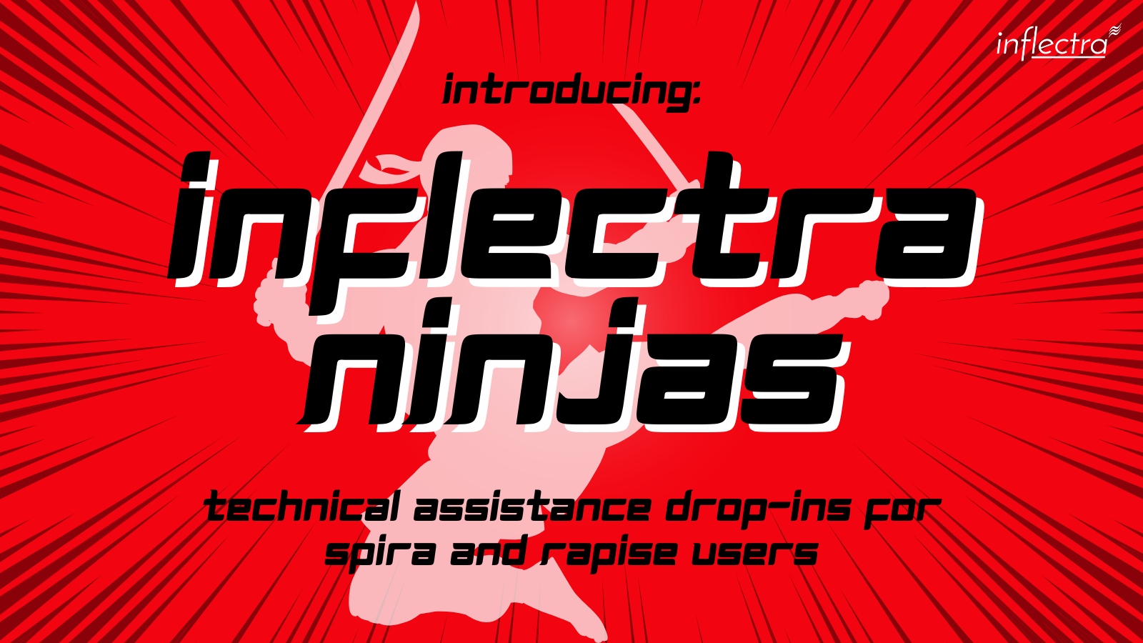 inflectra-ninja-spira-and-rapise-user-workshops-image